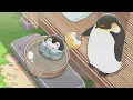 【公式】TVアニメ『コウペンちゃん』 第69話 「あつい」