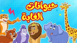 أنشودة  حيوانات الغابة عربي - انجليزي | أناشيد وأغاني أطفال باللغة العربية | 🔴 Live Stream