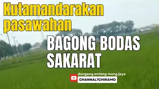 dongeng enteng mang jaya bagong bodas di gebugin habis sampai meninggal dunia channel7chiramo 