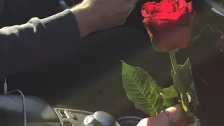 اهديك وردة حمرا لعيونك يا اغلى الناس 