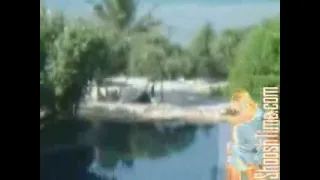 Tsunami ShooshTime