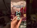LPS Series 5 Unboxing I got the great dane