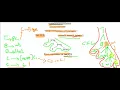 Semantic Rules for Array Type Expression