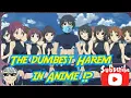 Infinite Harem Satire Anime review Infinite Stratos