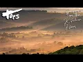 Download Lagu Tors - Garden On The Kitchen Floor