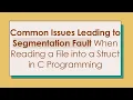 Common Issues Leading to Segmentation Fault When Reading a File into a Struct in C Programming