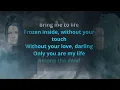 Download Lagu Bring me to life (Karaoke With backing vocals) Evanescence