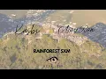 Download Lagu Kasbï and Ajay Raw - Rainforest in Sint Marteen