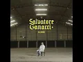 Horse - Salvatore Ganacci