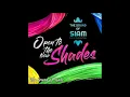 The Sound of Siam - The Sound Of Siam Album Open to the New Shades