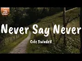 Never Say Never - Cole Swindell (Lyrics)