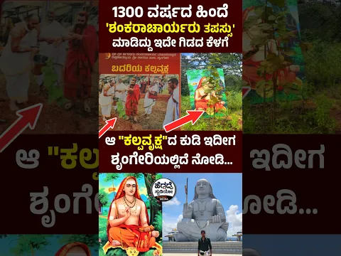 1300 ವರ್ಷದ ಹಿಂದೆ 'ಶಂಕರಾಚಾರ್ಯರು ತಪಸ್ಸು' ಮಾಡಿದ್ದು ಇದೇ ಗಿಡದ ಕೆಳಗೆ - ಆ "ಕಲ್ಪವೃಕ್ಷ"ದ ಕುಡಿ ಇಲ್ಲಿದೆ ನೋಡಿ...