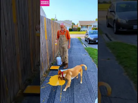 kindness dog 🐶 wedding paint trail turns into instant art #kindness #wedding #shorts