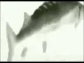 Exactly 10 minutes of low quality funky town