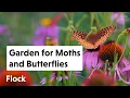 10 Tips to Attract BUTTERFLIES MOTHS to Your Garden Ep 270