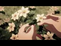 sir - the recipe [slowed + reverb]