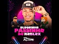 BLOQUINHO PASSINHO DO ROBLOX