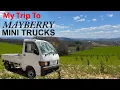 MY NEW KEI TRUCK - Mayberry Mini Trucks