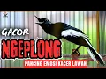 Download Lagu KACER Musuh PASTI KONSLET NEMBAK ISIAN MATERI,PANCINGAN KACER GACOR FULL ISIAN TARUNG NGOBRA NGOTOT!