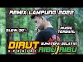 Download Lagu DIRUT X RIBU RIBU BUJANG ORGEN LAMPUNG SPESIAL SUMATERA SELATAN || BUJANG ORGEN LAMPUNG 2022