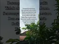 Download Lagu kata bijak | quotes motivasi diri | tetaplah kuat |#shorts