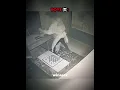 Download Lagu Girls vs Boys in horror escape room #edit #trollface #troll