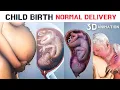 Download Lagu Normal Delivery - Child Birth 3D Animation
