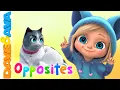 Opposites for Kids Nursery Rhymes Educational Songs for Toddlers Dave and Ava