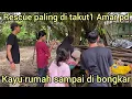 Download Lagu RESCUE SAMPAI KAYU RUMAH DI BONGKAR AMAR PD SAMPAI MUNDUR MELIHAT HEWAN INI