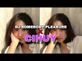 Download Lagu DJ SOMEBODY PLEASURE X CIHUY