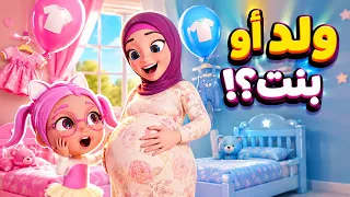 ماما حامل في البيبي - يا ترى ولد ولا بنت؟ 👶🍼 | قناة حبيبي تون