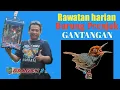 Lagu RAWATAN HARIAN PRENJAK GANTANGAN