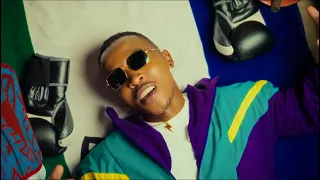 ntate stunna moya official music video ft lowly u0026 dj ngwazi