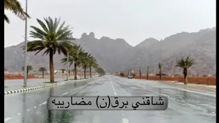 سامري حائل   شاقني برق ن  مضاريبه دندنها