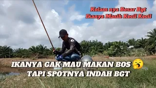 Download Mancing Ikannya Gak Mau Makan - Sepot Ini Begitu Indah - #006 @Alfinmaulanachenel MP3