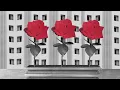 No Sabía (Lyric Video) - Daniel, Me Estás Matando ft Niño de Elche