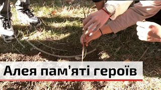 У Чернівецькому ліцеї 4 школярі та педагоги висадили калинові кущі C4 