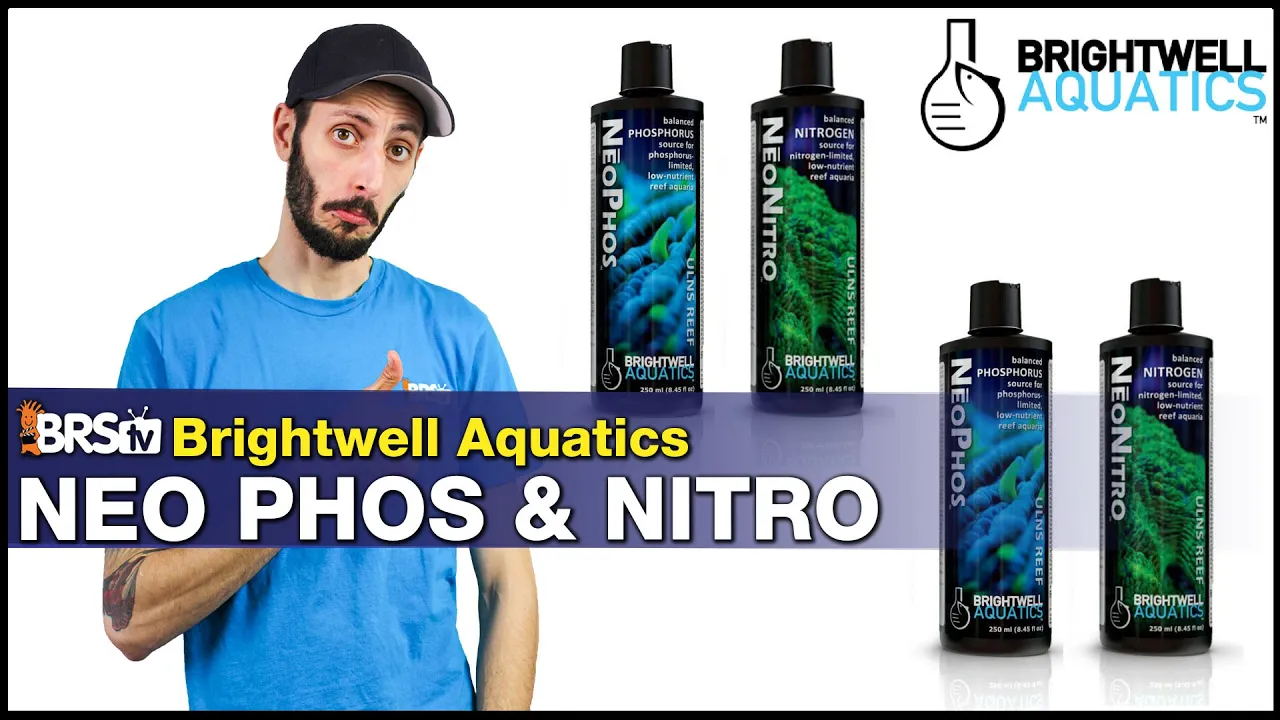 Struggling With Low Nitrates & Phosphates in Your Reef Tank? Brightwell NeoNitro & NeoPhos Is Here!