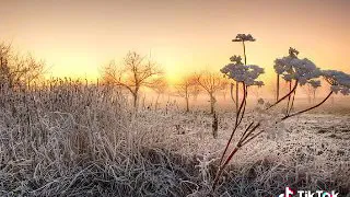 يوم يعض الظالم على يديه مقطع مؤثر 