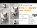 Introductory Stata 4 Summary Statistics using tabulate and tabstat