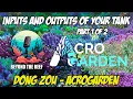 Episode 36 Inputs Outputs Of Your Reef Tank Dong Zou - AcroGarden pt 1