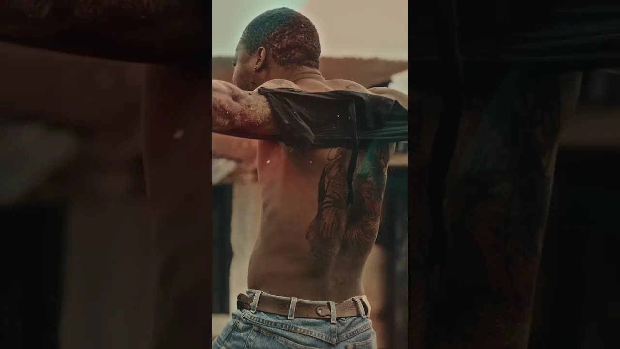 Cinematographer / Editor / Colorist
