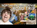 The PERFECT California Coast Road Trip Plus Mosswood Meltdown