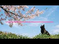 YounHa(윤하) 'Seasonal Crime(계절범죄)' Lyrics(가사), Romanization, English Translation