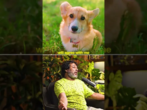Watch Before Getting Pets