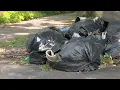 5-person crew working its way around Louisville removing litter clearing debris from alleys