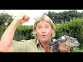 Inside Crocodile Hunter Steve Irwin stingray attack death and tragic last words
