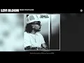 Levi Bloom - Make It Out Alive (Official Audio)