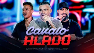 Junior Vianna,  @RaiSaiaRodada e Ariel Almeida  - CAVALO ALADO (Forró Na Canela)