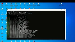 Error when generate Angular Project